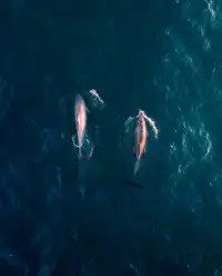 泰國海灘天花板TOP10,我都幫你踩點了!