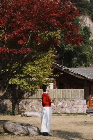 Zhenji Temple in Wenzhou Yandang Mountain: The Most Beautiful Zen Temple Deep in the Mountains