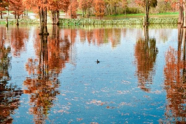 青西郊野公園暴走一天，這裡根本不是普通公園，是藏在城市邊緣的「天然氧吧+童話秘境」，秋冬來剛好！ 