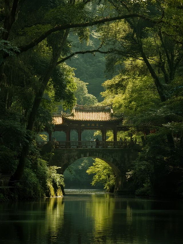 肇慶鼎湖山親子遊1.5h直達 天然空調房 肇慶鼎湖山親子遊1.5h直達 天然空調房