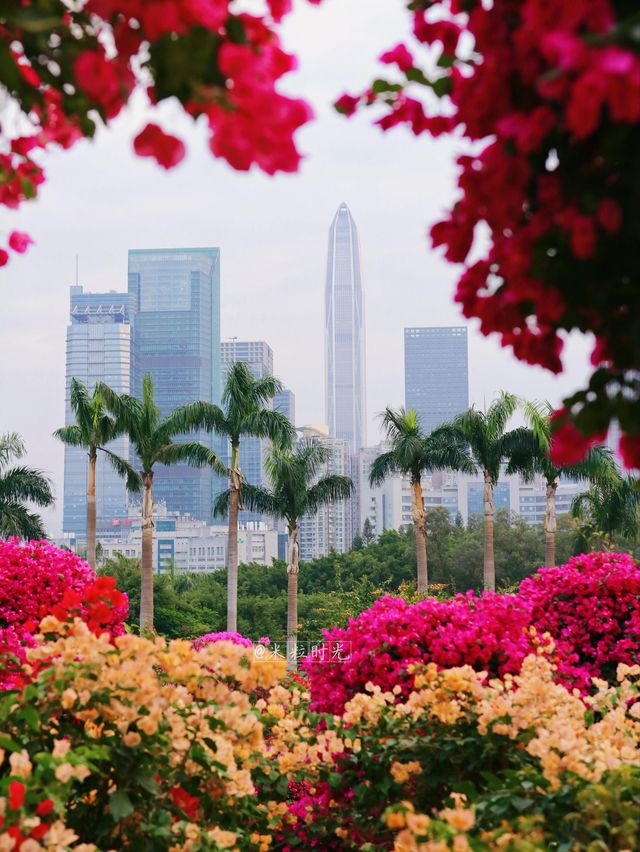 這裡風景獨好 這裡風景獨好