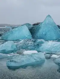 冰島冰河湖遇見海豹|是冬天zui溫柔的驚喜