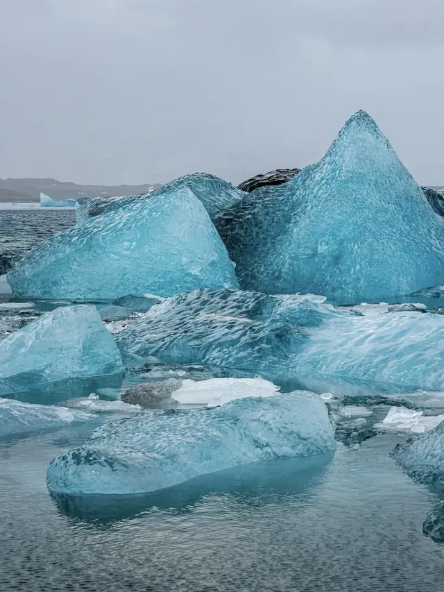 冰島冰河湖遇見海豹|是冬天zui溫柔的驚喜 冰島冰河湖遇見海豹|是冬天zui溫柔的驚喜
