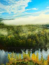 呼倫貝爾-大興安嶺美到窒息