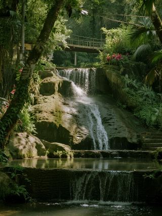 廣州秋季親子賞花4個免費莫奈花園打卡攻略