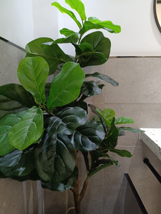 昆明安舍酒店沙發角落