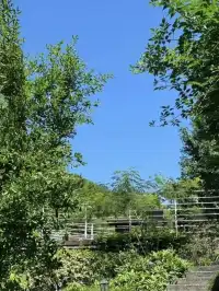 竹海環抱莫干山去了還想去的山間民宿