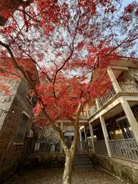 莫干山紅色氛圍已拉滿，趕緊衝！！