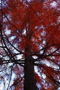 上海|又給大家找到一個拍照好去處絕對出片