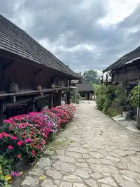 昆明大學生週末特種兵：景邁山24h住進傣家古