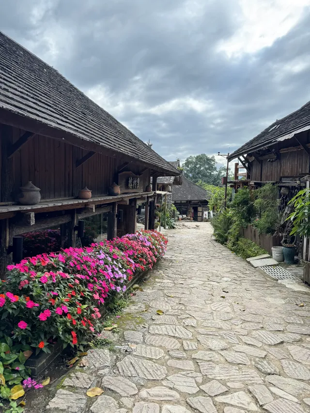 昆明大學生週末特種兵：景邁山24h住進傣家古