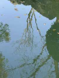 超全南京愚園冬日攻略！小眾玩法+拍照機位大公開