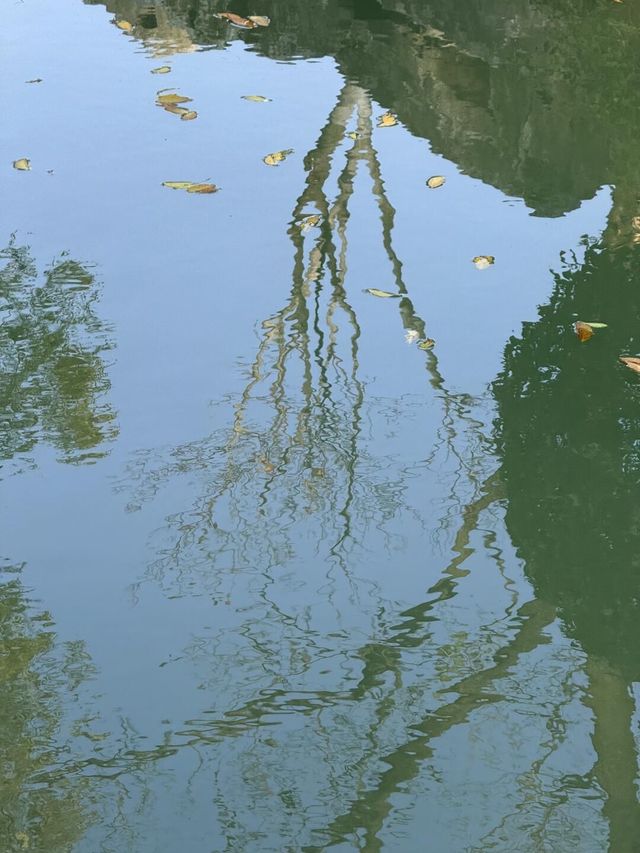 超全南京愚園冬日攻略！小眾玩法+拍照機位大公開