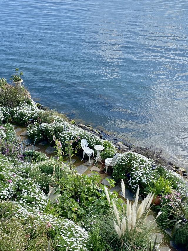 大理雙廊封神民宿！住進莫奈的洱海花園