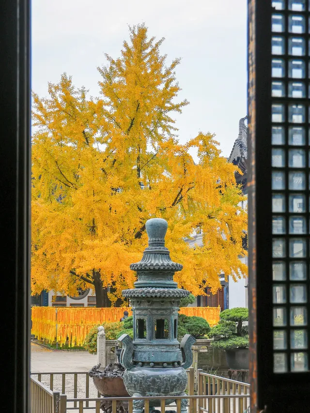 12.5實拍！真如寺銀杏，元代古剎小眾賞秋！