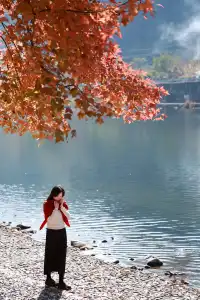 永嘉紅楓古道的紅楓紅了