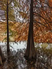 南京鐘山風景區漫遊