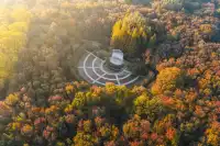 該怎麼向你描述南京的秋天呢