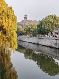 滿城盡飛黃金葉，紹興古城河清園秋色正迷人