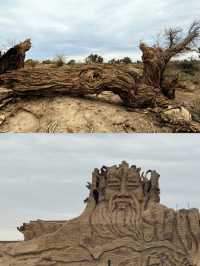 胡楊林裡,尋找失落的地平線