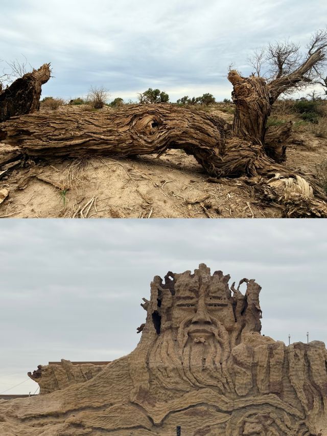 胡楊林裡,尋找失落的地平線 胡楊林裡,尋找失落的地平線