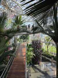 Нет, это не Сингапур! Шанхай сделал лучше!