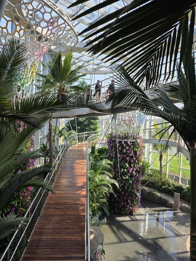 Нет, это не Сингапур! Шанхай сделал лучше! Нет, это не Сингапур! Шанхай сделал лучше!