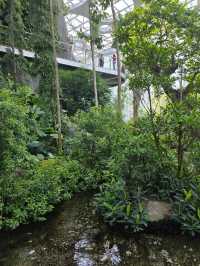 Shanghai Greenhouse Garden – всё, что нужно знать