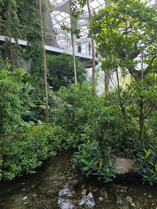 Shanghai Greenhouse Garden – всё, что нужно знать Shanghai Greenhouse Garden – всё, что нужно знать