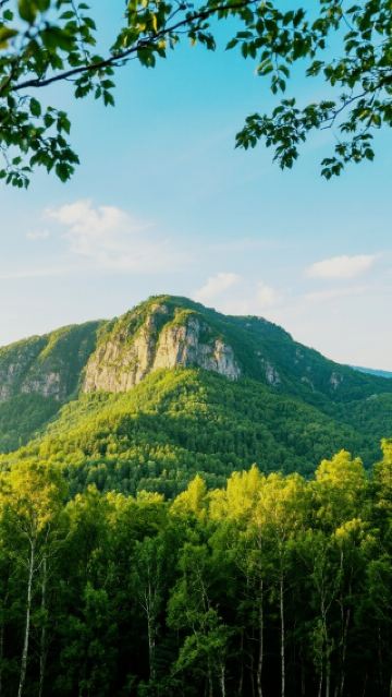 Two-Day Travel Guide for Qitaihe City