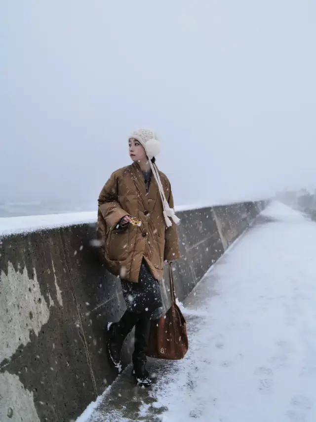 我的世界在下雪