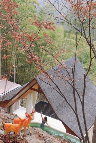 A Trip to Liyang Mountain Hot Springs | Staying in a Cliffside Treehouse, a Private Hot Spring Amidst Bamboo Forest