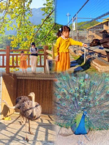 Maoming's Hidden Oxygen Haven! Yunshang Nanqing is so healing