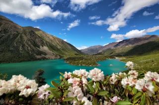อำเภอโลลอง เมืองชัมโด ทิเบต | อัญมณีที่ซ่อนเร้นในทิเบตตะวันออก: "บ้านเกิดของซัมปา" - คู่มือฉบับสมบูรณ์สำหรับภูเขาหิมะ ทะเลสาบ เส้นทางโบราณ และเมืองต่างๆ