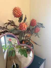 沉浸式逛古城｜這才是揚州本來的樣子   厭倦了走馬看花的打卡？ 不如慢下來鑽進揚州的街巷深處，讀懂