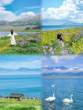 Ili Fengshen Season｜A Mutual Journey Between Snow Mountains and Grasslands