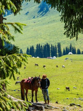 Overview of Xinjiang Grasslands: Choose the Right Time for the Best Views