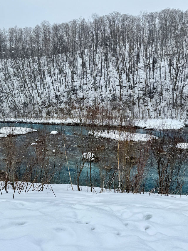 暑期8日遊日本 玩過才知真香
