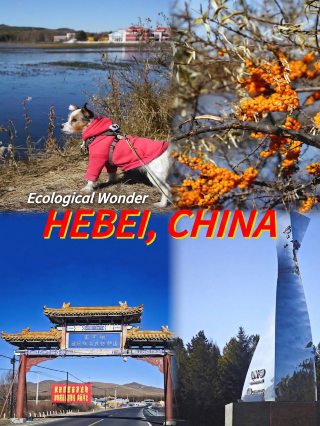 July–August Hebei family summer getaway guide