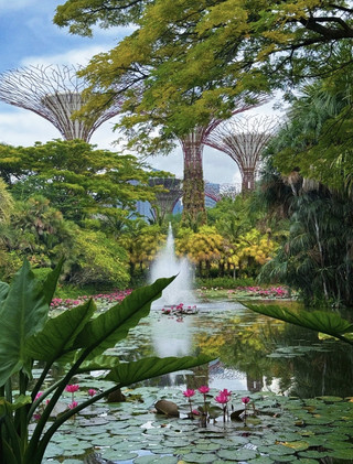 Singapore: What a Perfect Day Costs 🌆