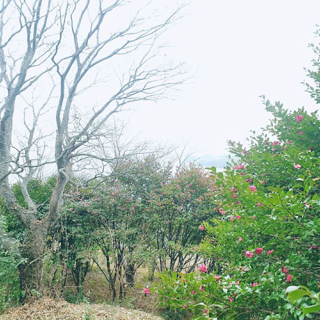 주민들의 운동장🚶‍♂️🚶‍♀️