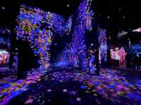 TeamLab SuperNature Digital Art @Macao