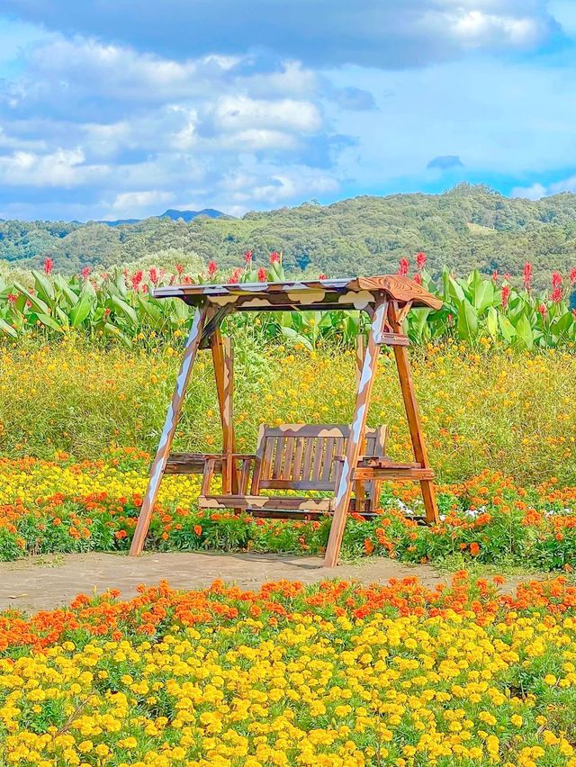 가을의 핫플레이스, 연천 댑싸리 공원💚