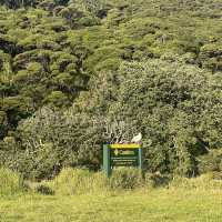 The best northland campground! 
