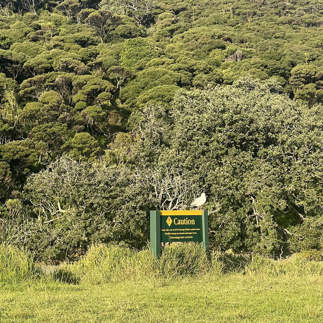 The best northland campground! 