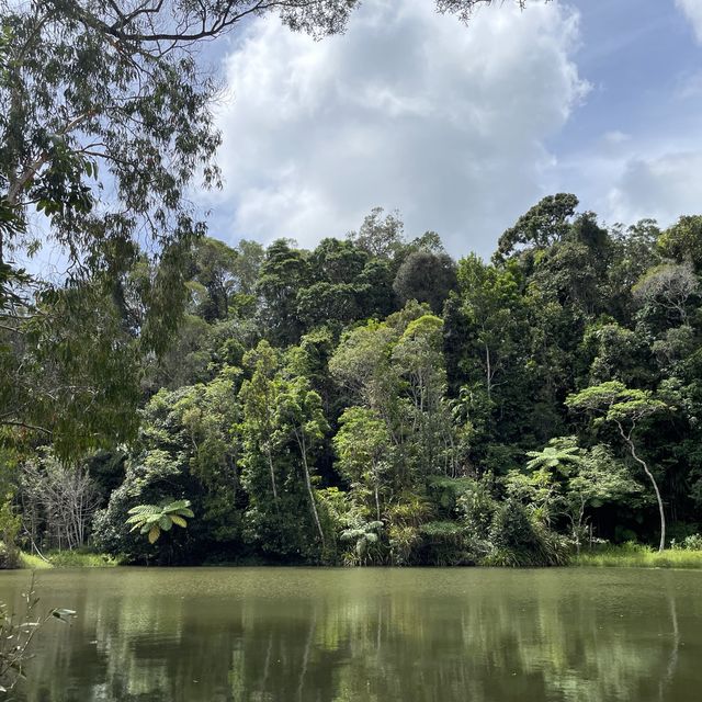 Kuranda your way to the railway!