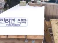 단양 통마늘이 들어간 순대 맛집 [단양토종마늘순대]