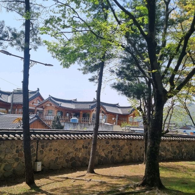 포토존이 예쁜  경주 대릉원