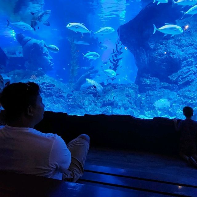 Under The Sea In Bangkok City