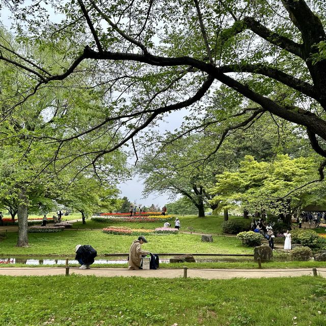 Showa memorial park, Tokyo!! 